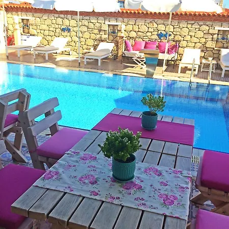 Taskoy (adults Only)
