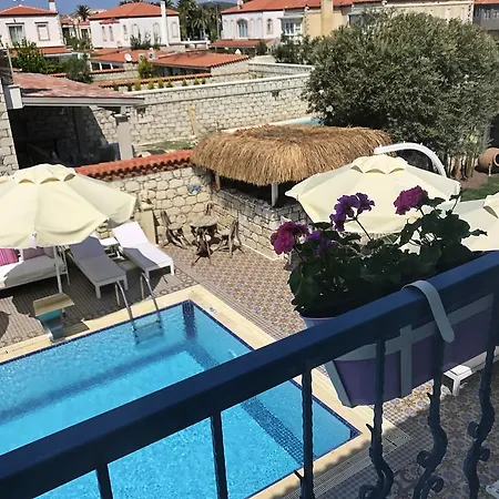 Taskoy (adults Only)