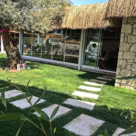 Taskoy (adults Only) 2*